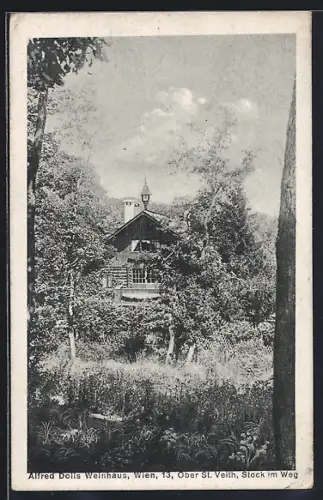AK Wien-Ober St. Veith, Alfred Dolls Weinhaus, Stock im Weg
