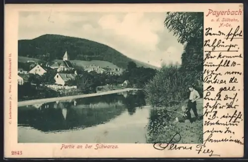AK Payerbach a. d. Südbahn, Schwarzapartie mit Ortsansicht
