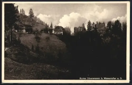 AK Wesenufer a. D., Ruine Oberwesen mit Umgebung