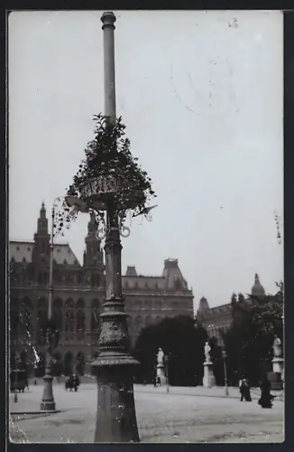 AK Wien, Strassenpartie mit Standbildern