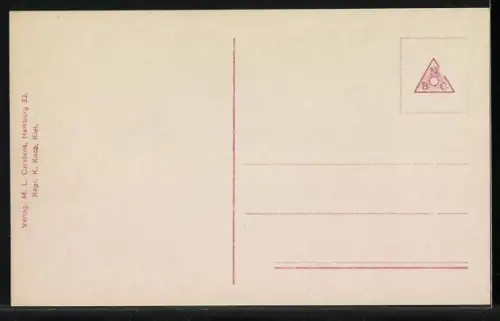 AK Torpedoboot 110 in voller Fahrt, Kriegsschiff