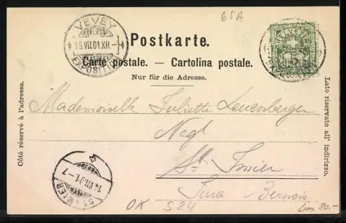 Lithographie Vevey, Exposition 1901, Ausstellung, Panorama du Ville