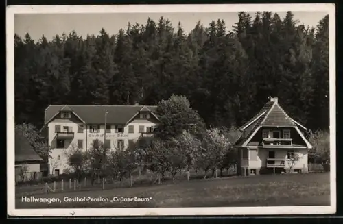 AK Hallwangen, Gasthof-Pension Grüner Baum