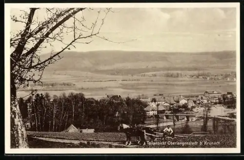 AK Oberlangenstadt b. Kronach, Teilansicht