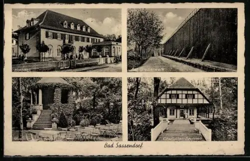 AK Bad Sassendorf, Kurhaus, Gradierwerk, Musikhalle, Charlottenbrunnen