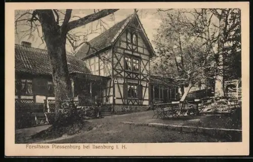 AK Ilsenburg im Harz, Forsthaus Plessenburg im Wald