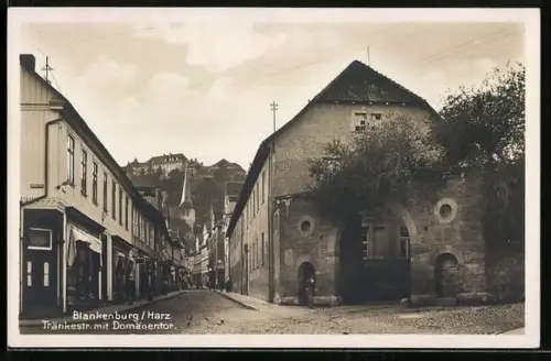 AK Blankenburg /Harz, Tränkestrasse mit Domänentor