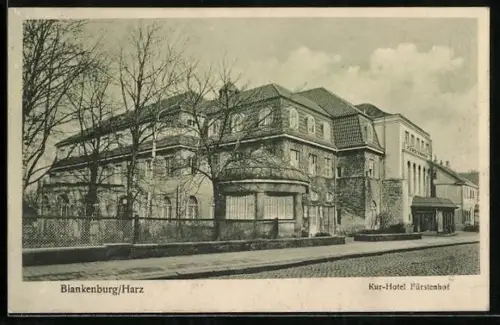AK Blankenburg / Harz, Strassenpartie am Kur-Hotel Fürstenhof
