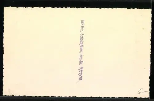 AK Schierke /Harz, Ferienheim Franz Mehring, Innenansicht