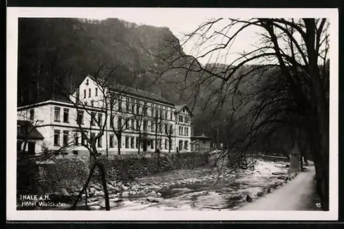 AK Thale a. H., Hotel Waldkater