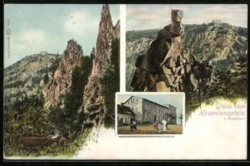 AK Thale, Hexentanzplatz, Hirschgrund, Hotel