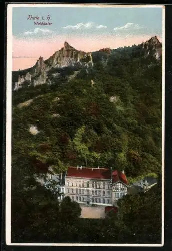 AK Thale i. H., Hotel Waldkater