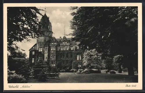 AK Detmold, Schloss mit Park