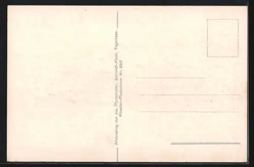 AK Egern-Rottach, Ortsansicht mit Wallberg und Setzberg