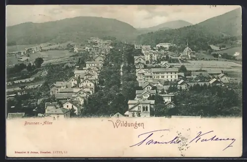 AK Wildungen, Brunnen-Allee aus der Vogelschau