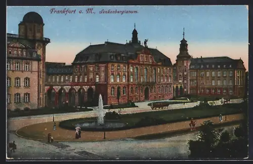 AK Frankfurt-Westend, Senkenbergianum