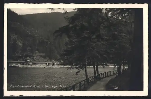 AK Goslar, Herzberger Teich