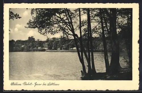 AK Probst-Jesar bei Lübtheen, Waldsee
