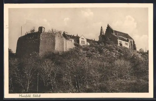 AK Mansfeld, Blick zum Schloss