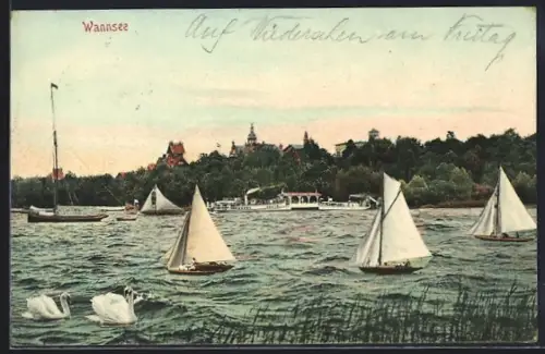 AK Berlin-Wannsee, Uferpartie mit Dampfer