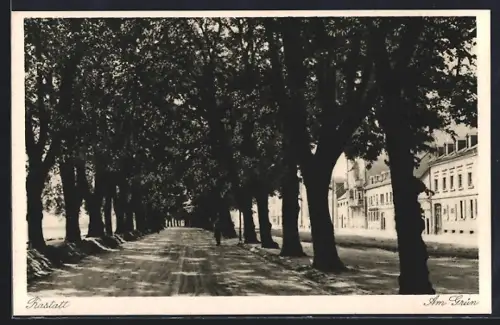 AK Rastatt, Strasse am Grün mit Bäumen