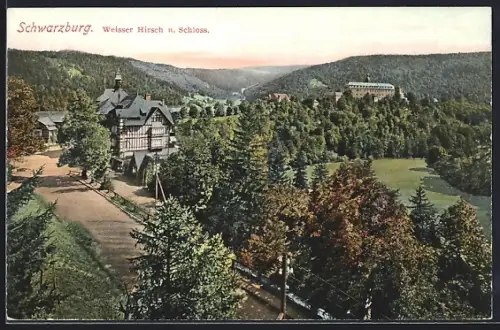 AK Schwarzburg, Weisser Hirsch und Schloss