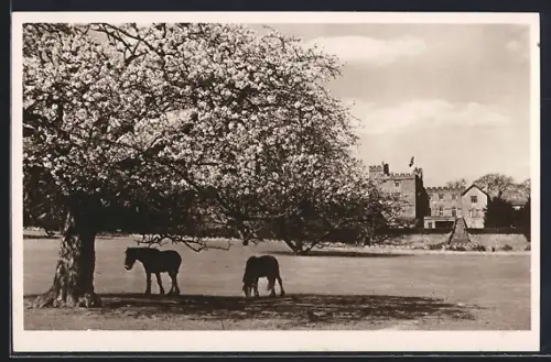 AK Westmorland, Sizergh Castle, East front from the park