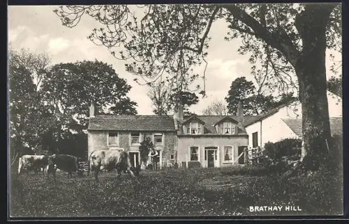 AK Ambleside, Brathay Hill