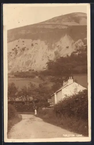 AK Farleton Lane, Panorama