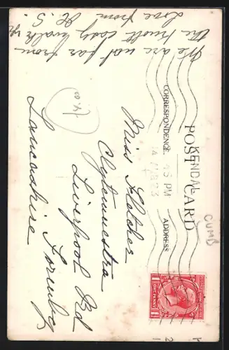 AK Farleton Lane, Panorama