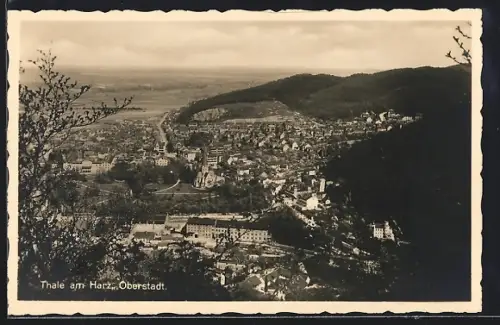 AK Thale am Harz, Oberstadt aus der Vogelschau