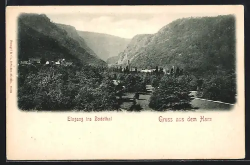 AK Bodethal /Harz, Blick ins Tal