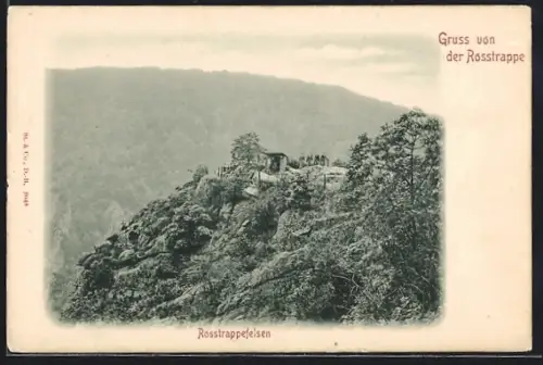 AK Thale, Rosstrappefelsen