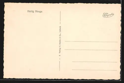 AK Hallig Hooge, Reetgedeckte Häuser am Wasser