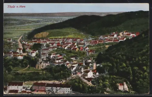 AK Thale a. Harz, Panoramaansicht des Ortes
