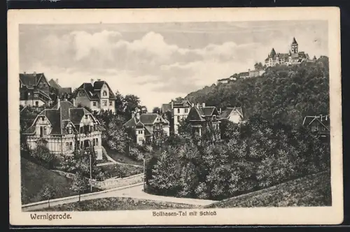 AK Wernigerode, Bollhasen-Tal mit Schloss
