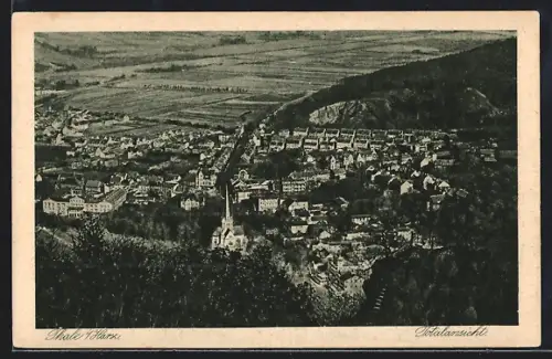 AK Thale /Harz, Ortspanorama