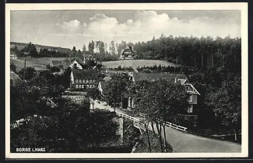 AK Sorge i. Harz, Ortsansicht am Wald