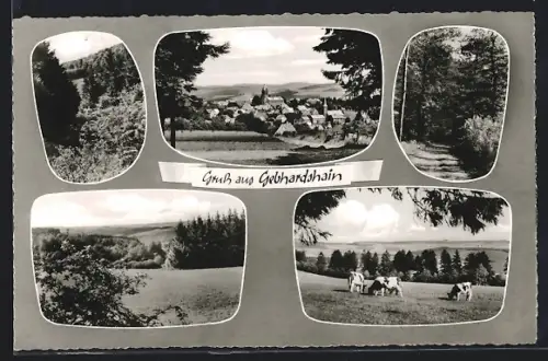 AK Gebhardshain /Westerwald, Ortsansicht mit Kirche, Weide mit Kühen
