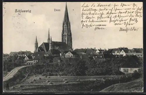 AK Schleswig, Dom