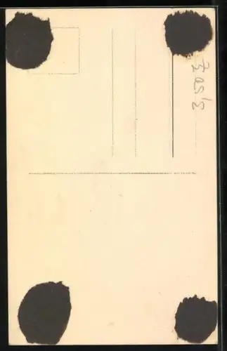 AK Maria Solveig mit Ansteckblume, Autograph