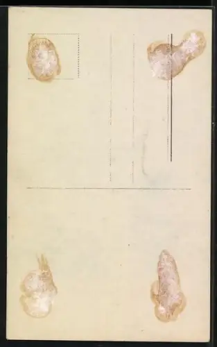 AK Werner Fuetterer lächelt, Autograph