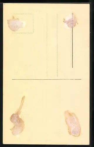 AK Albert Lieven im Troyer, Autograph, 1933