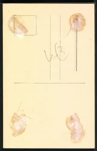 AK Karin Hard, Portrait, Autograph