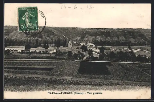 AK Naix-aux-Forges, Vue generale