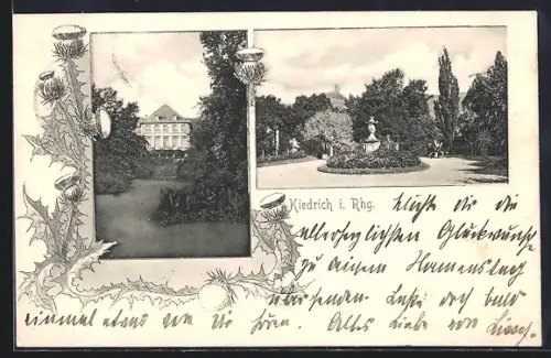 AK Kiedrich i. Rhg., Schlosss Kiedrich mit Parkanlagen, Turmblick, Denkmal, Disteln