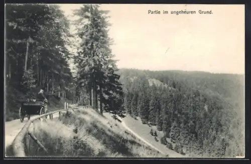 AK Tabarz, Partie im ungeheuren Grund, Strasse