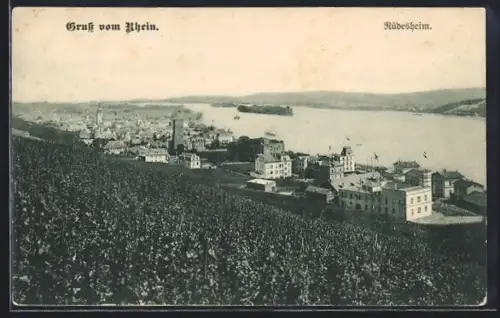 AK Rüdesheim /Rhein, Ortsansicht aus der Vogelschau