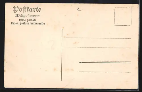 AK Rüdesheim /Rhein, Ortsansicht aus der Vogelschau