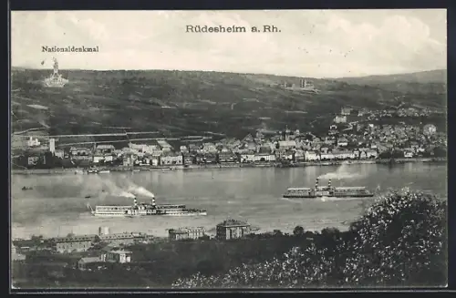 AK Rüdesheim am Rhein, Panoramablick mit Nationaldenkmal und Raddampfer